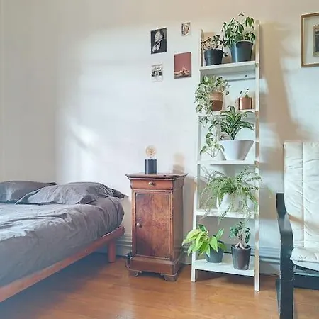 Spacieux T3 80m2 Plein Centre Presque Ile ! 아파트 *